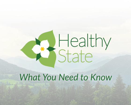 What You Need to Know About Healthy State