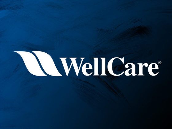 WellCare 2021 MAPD