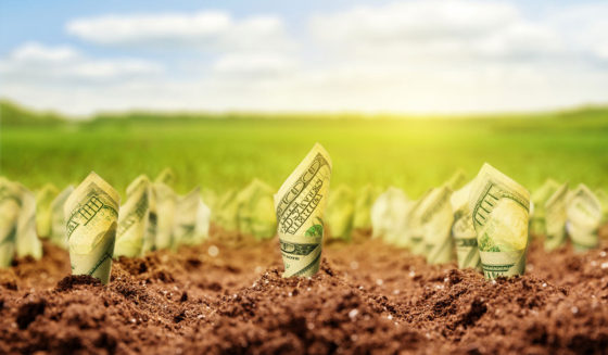 Spring Into Cash With Medico