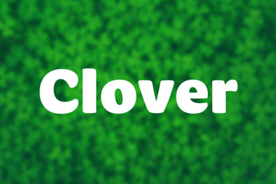 clover 2021 mapd